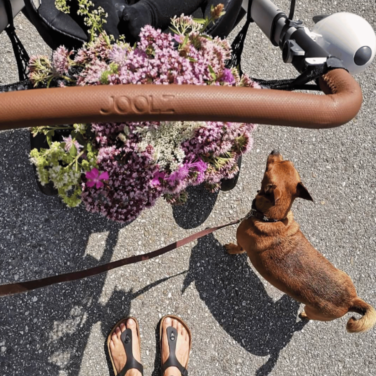 BLOG - fotka v článku - 2025-03-11T112501.182